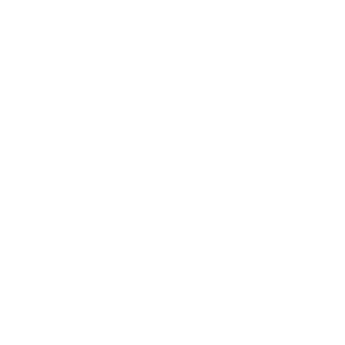 Warranty Icon